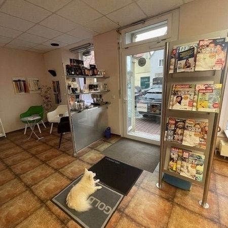 Salon Haarlekin | Uffenheim von innen